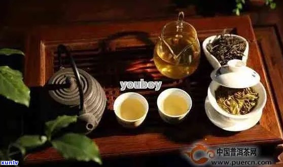 普洱茶的香气特质：究竟有何味道？