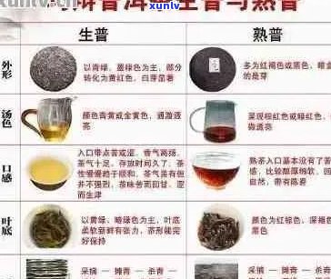 探究含香普洱茶的多样性：品种、口感与香气的秘密解析