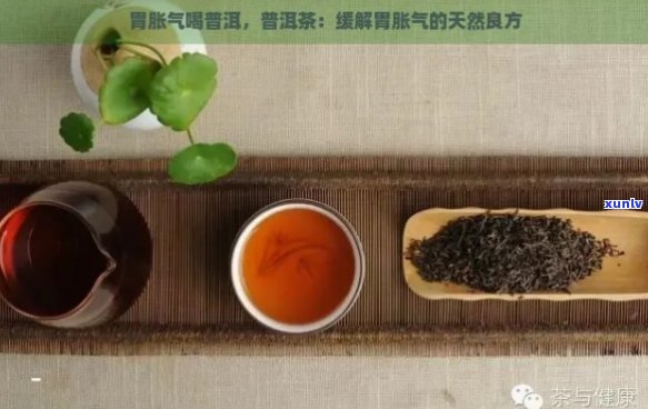 普洱茶：缓解胃胀气的天然良方？它如何帮助消化并减轻胃部不适？