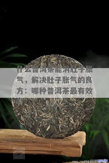 普洱茶：缓解胃胀气的天然良方？它如何帮助消化并减轻胃部不适？