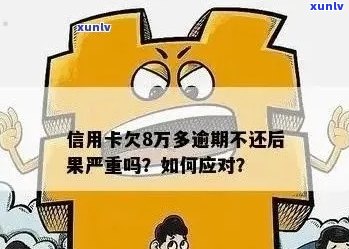 信用卡逾期还款八千八元的解决策略和建议，从预防到应对一览无遗