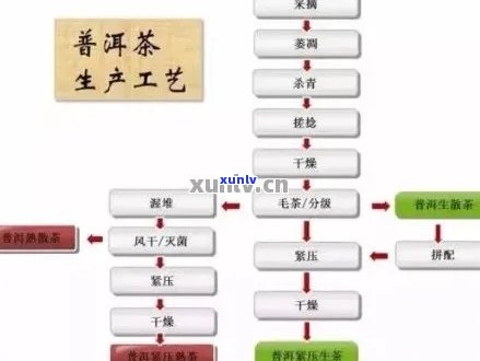 探究普洱茶手工 *** 的匠心与技巧：从原料选择到工艺流程的全面解耦