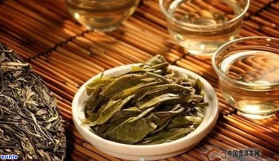 云南普洱茶比较：哪家厂家的普洱茶品质？