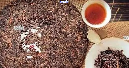 云南普洱茶比较：哪家厂家的普洱茶品质？