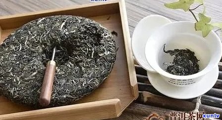 熟普洱茶的饼怎么泡：正确 *** 与好味道