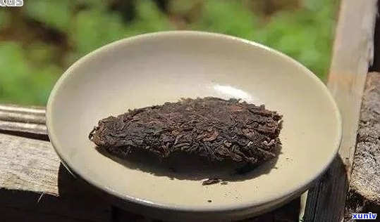 熟普洱茶的饼怎么泡：正确 *** 与好味道