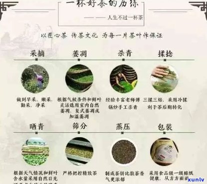 新 探究至臻古树普洱茶的全面功效，以及如何品鉴其独特风味