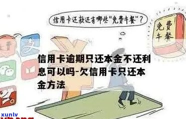 信用卡逾期还款策略：仅还本金可行吗？不逾期的有效 *** 与注意事项