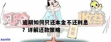 逾期还款，本金和利息如何处理？全面解答逾期还款问题