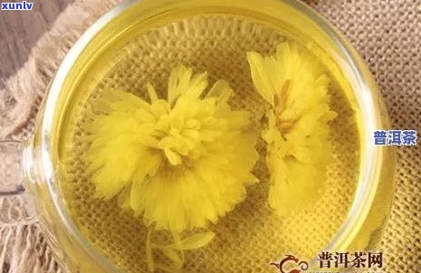 普洱茶与菊花一起泡水喝吗？女人、孕妇可以喝吗？