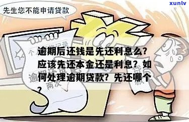 逾期还款，本金和利息如何处理？全面解答逾期还款问题