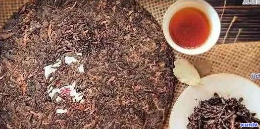 99年陈年普洱茶的品鉴与保存：是否仍然适合饮用？