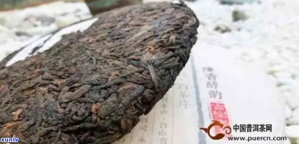 99年陈年普洱茶的品鉴与保存：是否仍然适合饮用？