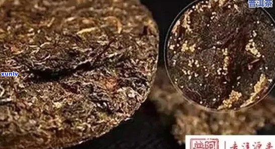 普洱茶冲泡过程中出现黑点原因解析及解决 *** 