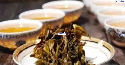 全面解析：新班章普洱茶的口感特征、品饮 *** 与适宜饮用人群