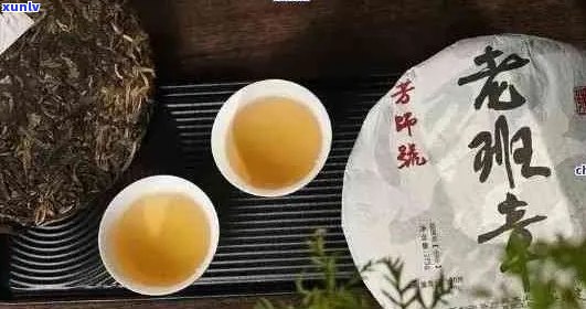 班章普洱茶：新茶与老茶的品质对比分析