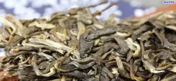 班章普洱茶：新茶与老茶的品质对比分析