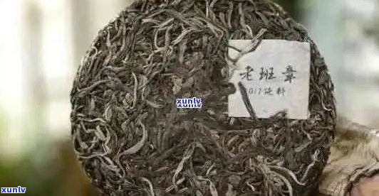 班章普洱茶：新茶与老茶的品质对比分析