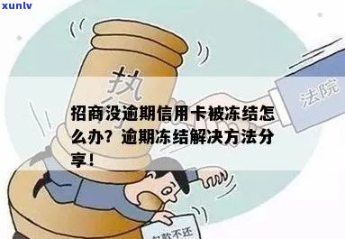 招行信用卡逾期后被永久冻结的解决策略：我应该怎么做？