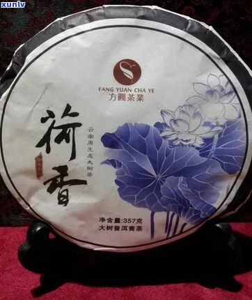 晋德荷香花韵普洱茶