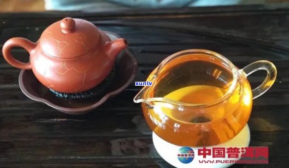 普洱茶与冬蜜的奇妙搭配：解渴、助消化与提供健能量