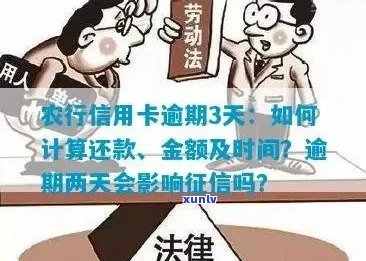 农业信用卡逾期还款利息计算方式及影响分析