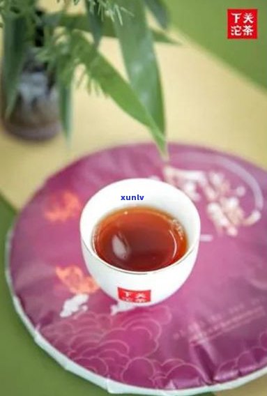 下关普洱茶旗舰店：品质源自古树，香醇细腻的茶艺体验