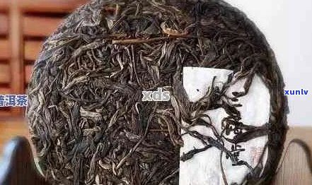 如何辨别下关普洱茶真假？购买下关普洱茶时应注意的事项与常见假货特征