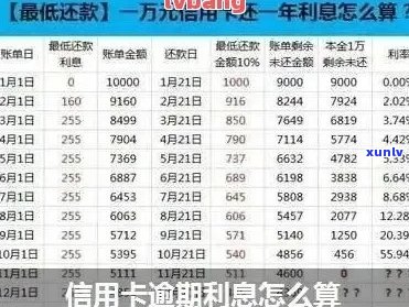 农业信用卡还款逾期利息