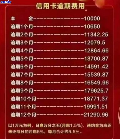 信用卡逾期25万一年利息多少：计算与分析