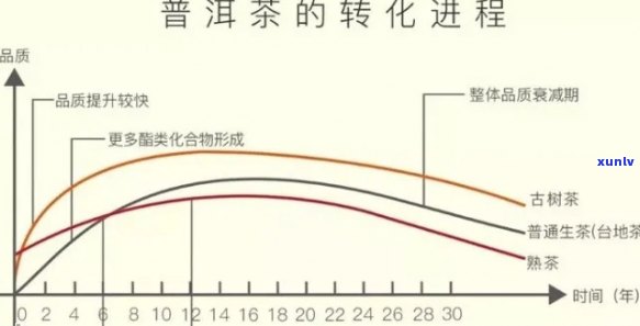 普洱茶成熟期及品尝时机全解：从种植到陈化，哪个阶的普洱茶最适合品尝？