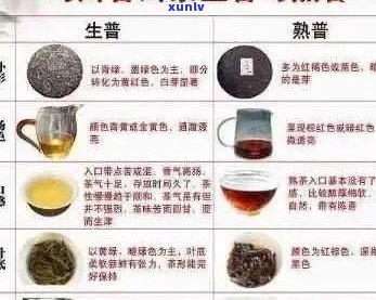 勐海纯料古树普洱茶：价格、品质与选购指南一应俱全