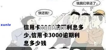 信用卡逾期五年3000元：全面计算与解决方案详解