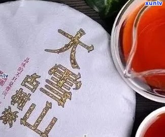 大雪山普洱茶：品鉴与饮用技巧，让您的茶道之旅更完美