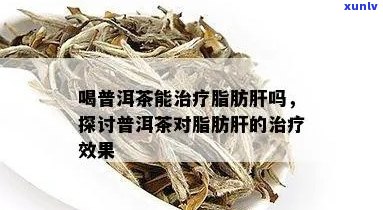 喝普洱茶能减脂肪肝吗？女性、普洱茶、减脂肪肝的关系如何？请简述。