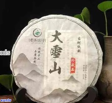 大雪山普洱茶：品鉴与饮用技巧，让您的茶道之旅更完美