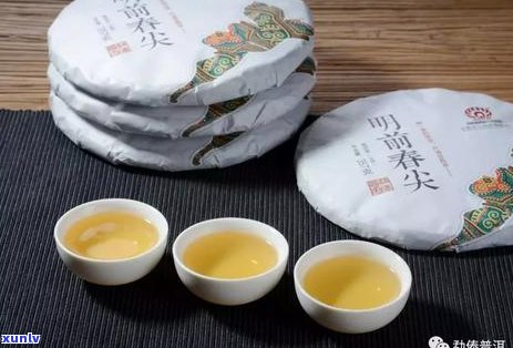 勐傣普洱茶怎么样：品质与价值并存的收藏佳品