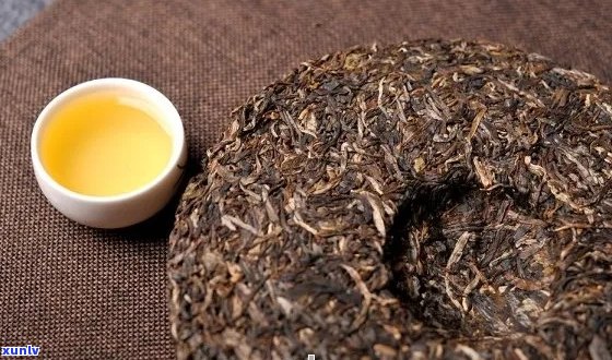 普洱茶饼比较松散好不好：探讨松散普洱茶饼的口感与品质