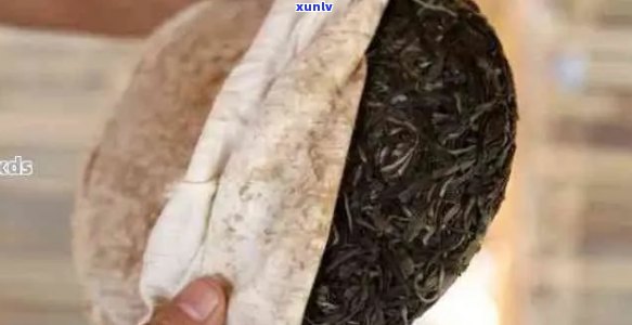 从普洱茶饼松紧程度解析茶叶品质与保存技巧：一篇全面指南