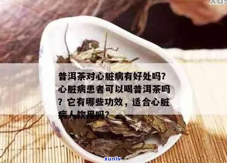 普洱茶对心脏病患者的益处及其安全性探讨