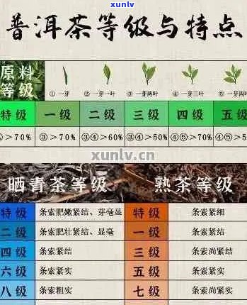 周氏普洱茶叶产品：品质、种类、年份与泡法全面解析，助您轻松挑选与品鉴