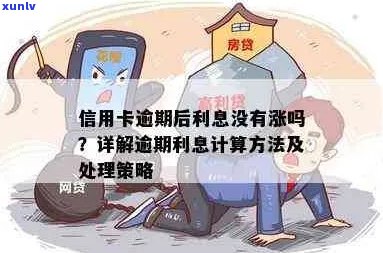 信用卡逾期停卡利息收多久：疑问解答与处理策略