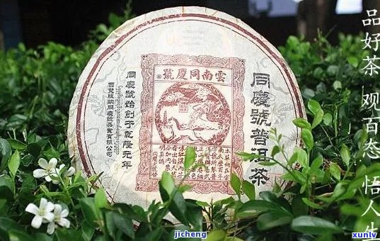 周氏普洱茶个重复字