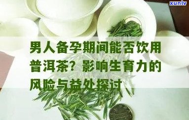 备孕期间男性是否可以饮用普洱茶？答案与注意事项全解析