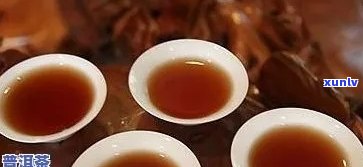 男性备孕期间是否适宜饮用普洱熟茶？探讨其对生育能力的影响