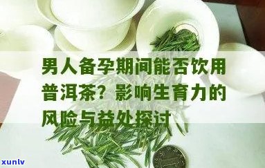 男性备孕期间是否适宜饮用普洱熟茶？探讨其对生育能力的影响