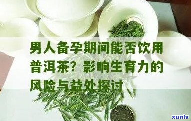 男士备孕期间可以喝普洱茶吗？