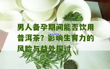 男性备孕能喝普洱茶