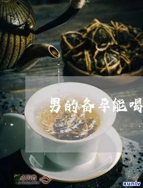 男性备孕能喝普洱茶