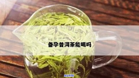 男性备孕能喝普洱茶